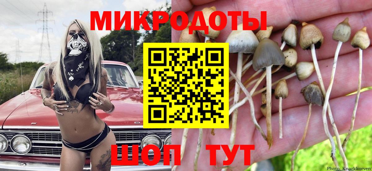 Солнечногорск  Галлюциногенные грибы Cubensis  Вход с VPN 