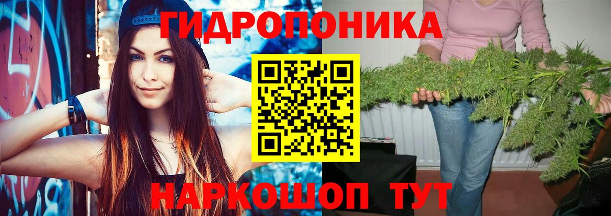 Солнечногорск  Конопля ГИДРОПОН  Вход с VPN  Бошки Шишки сатива  МАРИХУАНА планчик 